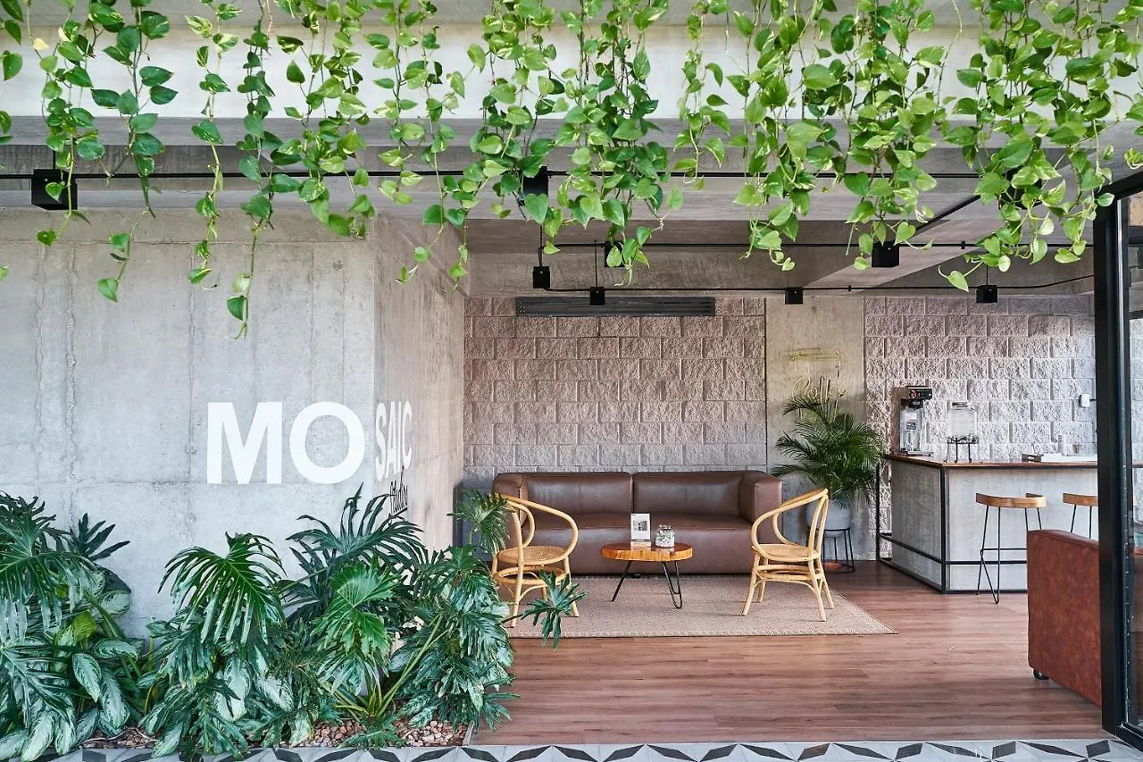 Mosaic Studios Buenavista Barranquilla